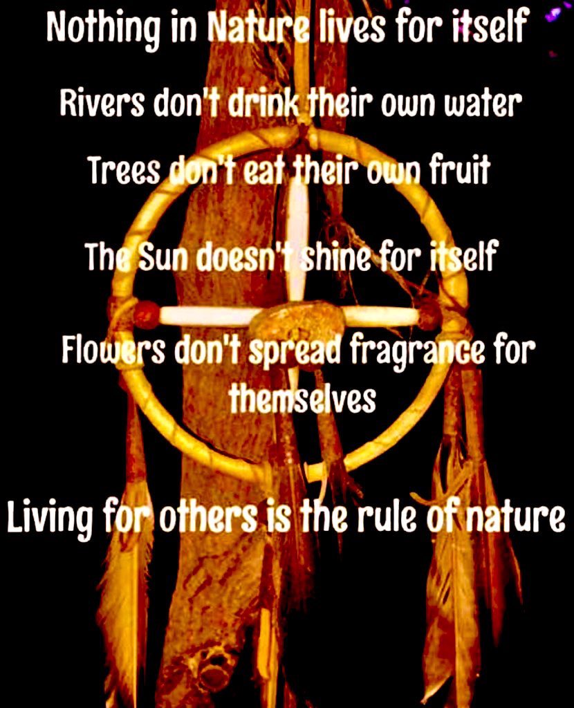 Native Red Cloud🪶Maȟpíya Lúta~Hińhan Wakangli⚡️🦉 tweet media