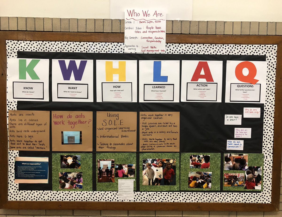 DoraBechtel1's tweet photo. Finished our week of @StartSOLE in first grade. Loved working through the #inquirycycle with their big question. Hoping to see student action by the end of this UOI. #IBPYP https://t.co/9T5d32HXEL