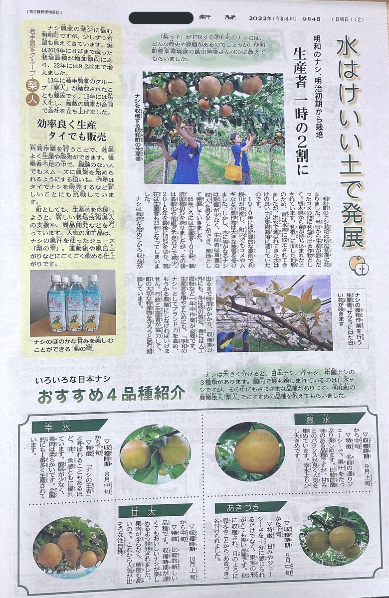 本業である 「新聞整理記者」の 仕事として作った 新聞誌面たち🗞  レイアウトデザインや 見出しを考えるお仕事です◎  #仕事 #新聞