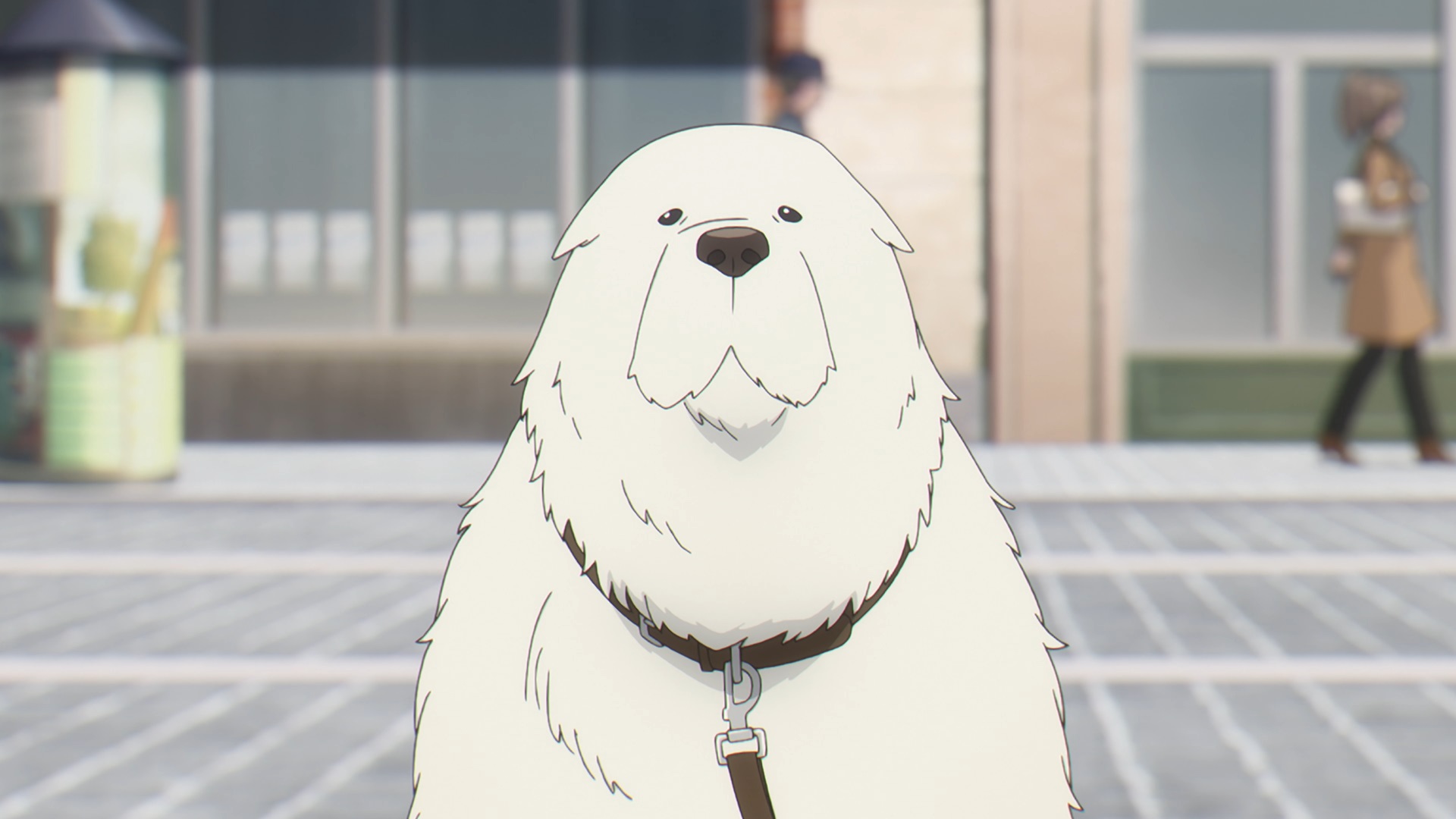 Spy Family スパイファミリー アニメ公式 Mission 13 放送まであと2時間 ﾟ Mission 13から新キャラも登場 大きな白い犬の正体とは 皆様 この後の放送をお楽しみに Opアニメ映像はこちら T Co Vlhbfrhetw