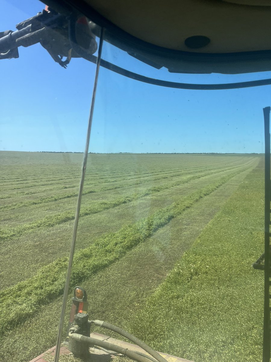 lukegreen450's tweet photo. Camping at Karcultaby for the long weekend cutting medic hay. Couldn’t think of anything better. 🎣🐟 https://t.co/sLoDKQDcVe