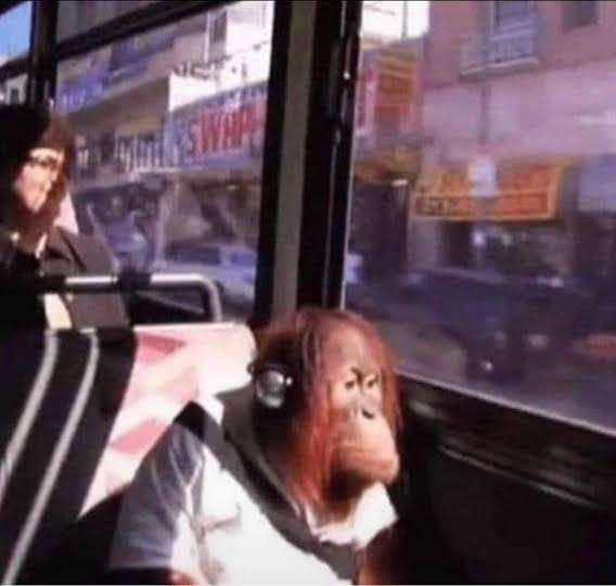 professora: prezados alunos, infelizmente hoje não teremos aula

eu indo para a aula com o grupo silenciado e arquivado:
