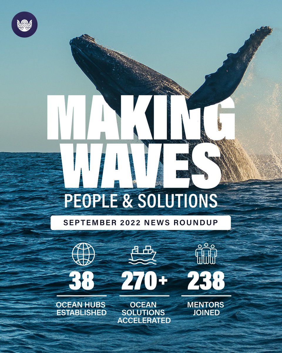 SOA exists to propel global solutions to our ocean's greatest challenges — and to empower the leaders behind them. 

Today, we share the latest news and highlights spotlighting SOA’s growing community. 🌎

Learn more → bit.ly/3y58TiG
