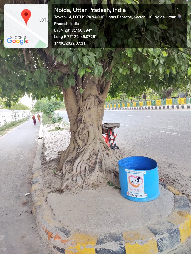 prchandna's tweet photo. @noida_authority @jan_jagran @Varunra68922216 @NGTIndia @CeoNoida @Supriya_kabir @vikranttongad @nisharai_ggc @vrikshprahari @GreenWarrior_1 @sarfabad1 इनका कब नंबर आएगा या नहीं 👇 @noida_authority @nisharai_ggc
@vikranttongad
@LPanacheAOA @GuptaGie @PJP_2013 @kavi_ta_gupta #Service #Lane #Lotus #Panache #Sector110 #Noida #Janpath #Road https://t.co/Wv7ptgNTZI