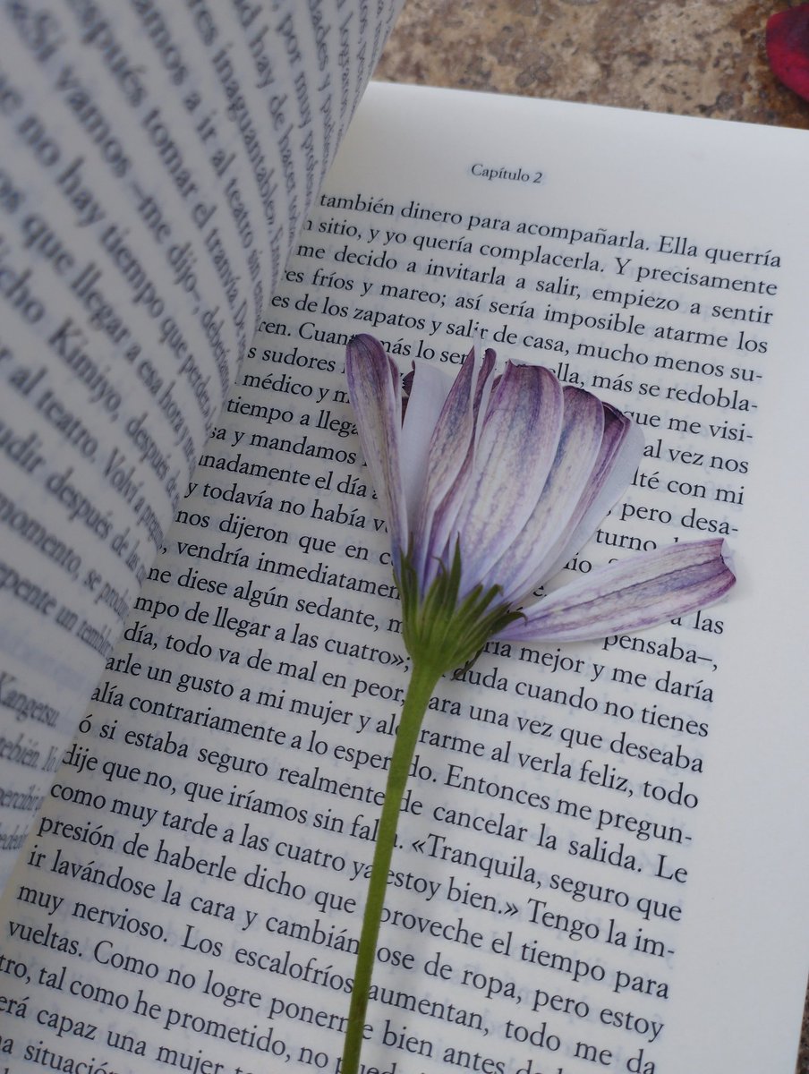 hilsalm's tweet photo. Soy una flor https://t.co/Qrt95T1h3b