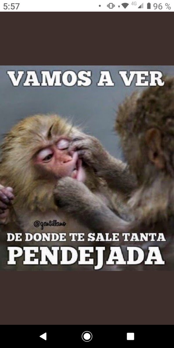 Roberto97292811's tweet photo. @leonserpiente https://t.co/tz4h8583fm