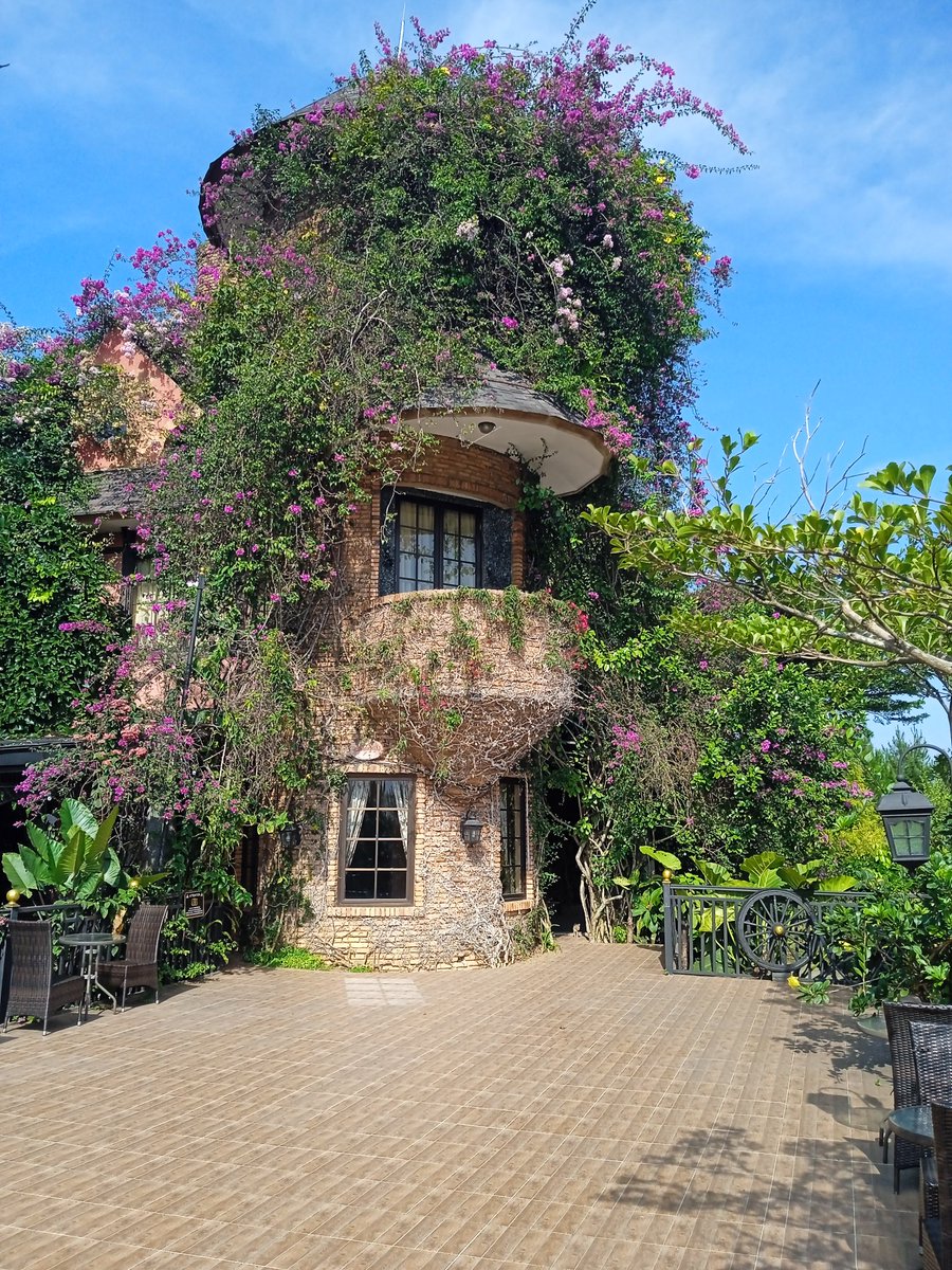 The_Chartist 📈 on Twitter: 