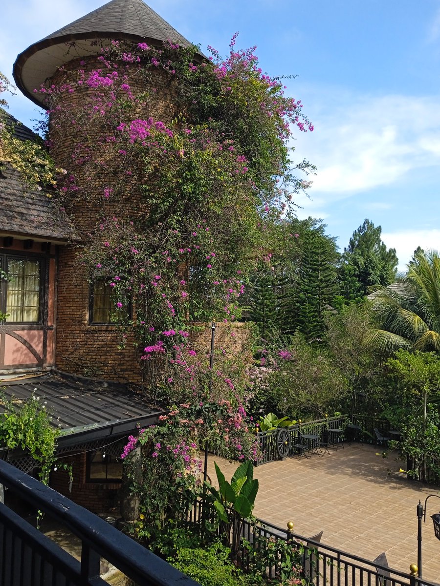 The_Chartist 📈 on Twitter: 