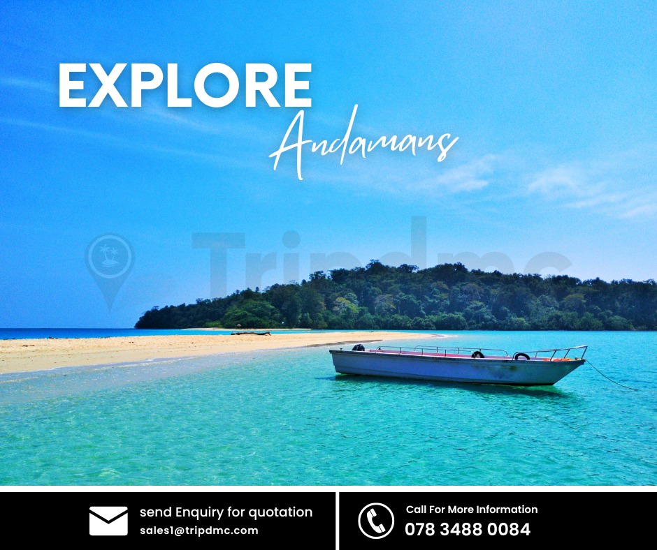 tripdmc's tweet photo. Andaman B2B | DMC for Andaman | Andaman B2B Supplier 

#tripdmc #tripdmcindia #visitandaman #andamantravel #andamanpackages #honeymoon #honeymoonpackages #honeymoondeals #andamanholiday #andamanvacation #tourpackages https://t.co/hvcdr4LxTq