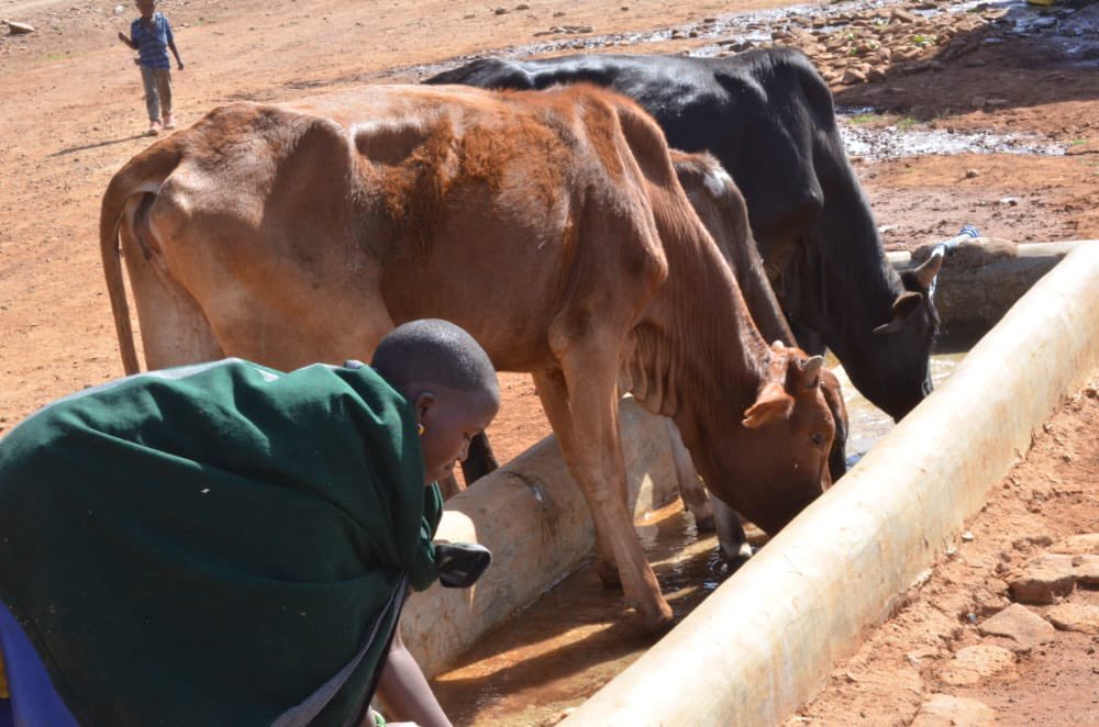 Lesuuda's tweet photo. I sent a team to do a spot check on some ongoing projects. I am happy with the progress.
Access to Clean Water:
Loonkolin, Nkutoto Lodo, Livestock Market in Maralal, and Shabaa are all currently in use.With the biting drought it is a huge relive to the residents and livestock. https://t.co/hZv6DYzsUD