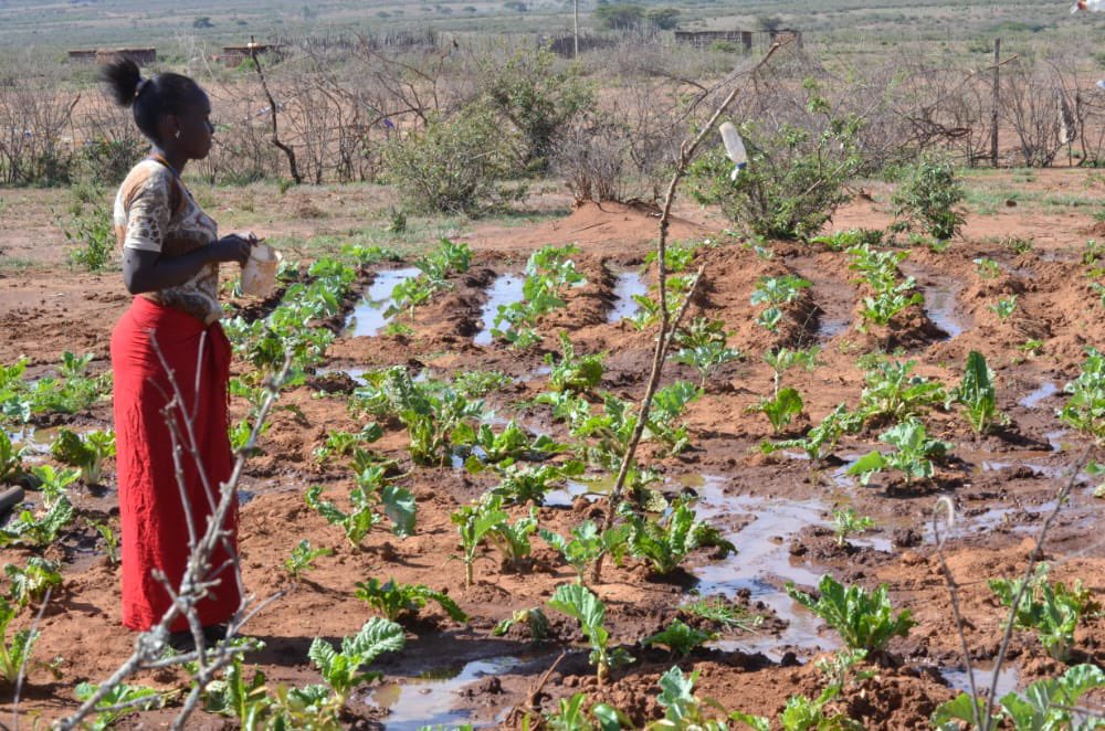 Lesuuda's tweet photo. I sent a team to do a spot check on some ongoing projects. I am happy with the progress.
Access to Clean Water:
Loonkolin, Nkutoto Lodo, Livestock Market in Maralal, and Shabaa are all currently in use.With the biting drought it is a huge relive to the residents and livestock. https://t.co/hZv6DYzsUD