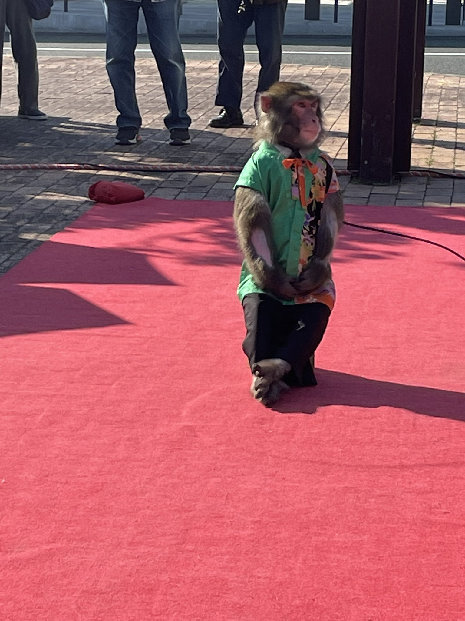 朝倉三連水車 Twitter 搜尋 Twitter