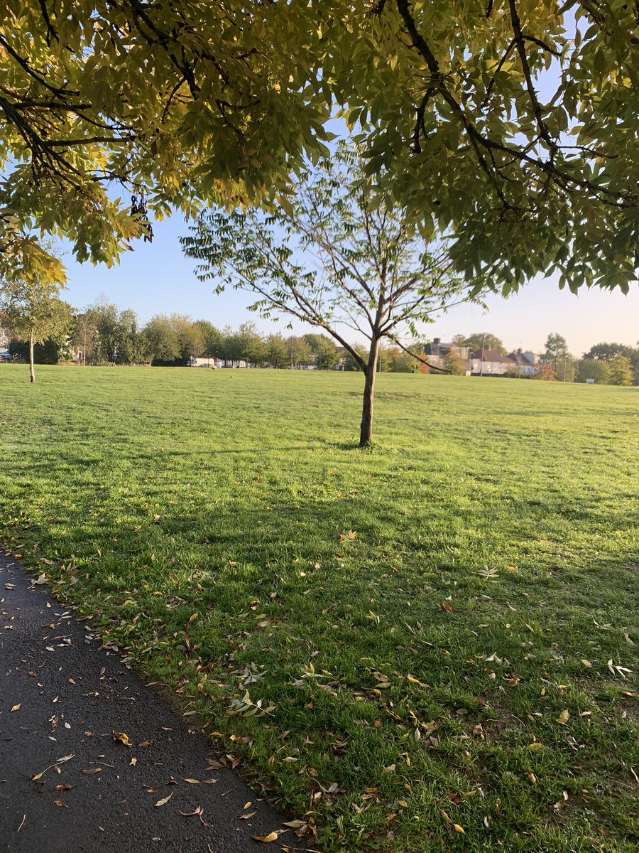 FinchleySave's tweet photo. A beautiful morning on our lovely green. Help the community of Finchley save it for London. Join us in court on Weds and donate now. We are in court against the developers. All info here https://t.co/n2vjggwQw0 https://t.co/G2Rodj5WBV