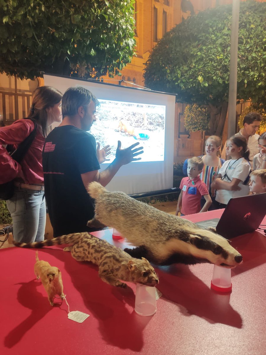 Nuestro equipo participa en la #NightSpain