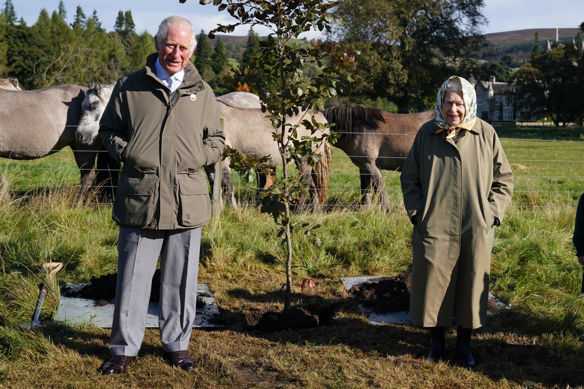 A year ago today our beloved Queen and our Patron, the then Prince of Wales, planted a tree at Balmoral Castle to mark the start of the planting season in the UK

With help from our amazing network, the six months that followed saw over a million trees planted across the nation