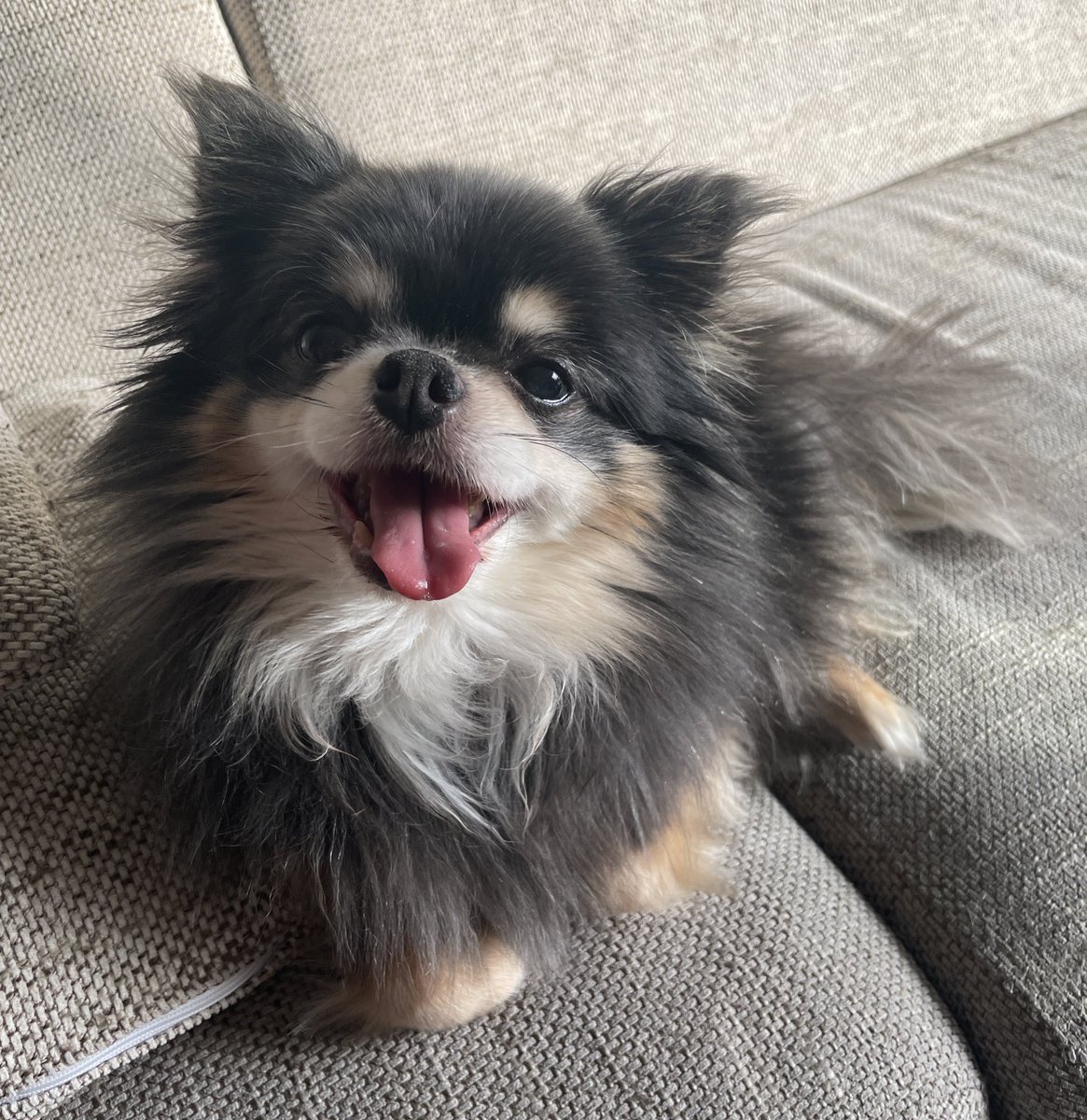 ĕ̈s 🪴 tweet media