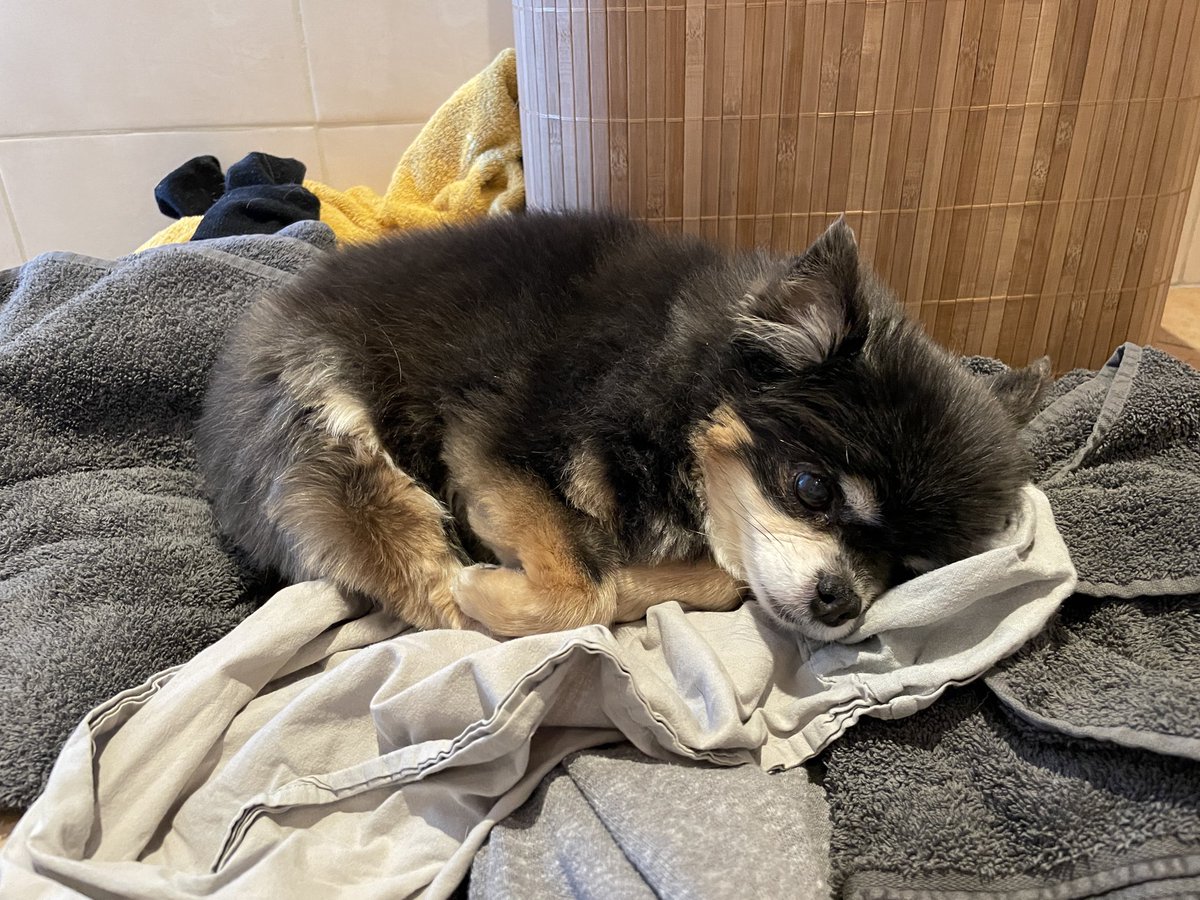 ĕ̈s 🪴 tweet media