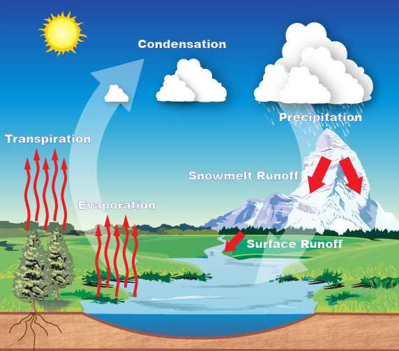 Hydrology is the study of the distribution and movement of water both on and below the Earth's surface, as well as the impact of human activity on water availability and conditions. 5 - 8. Biology, Chemistry, Conservation, Earth Science, Ecology, Oceanography.