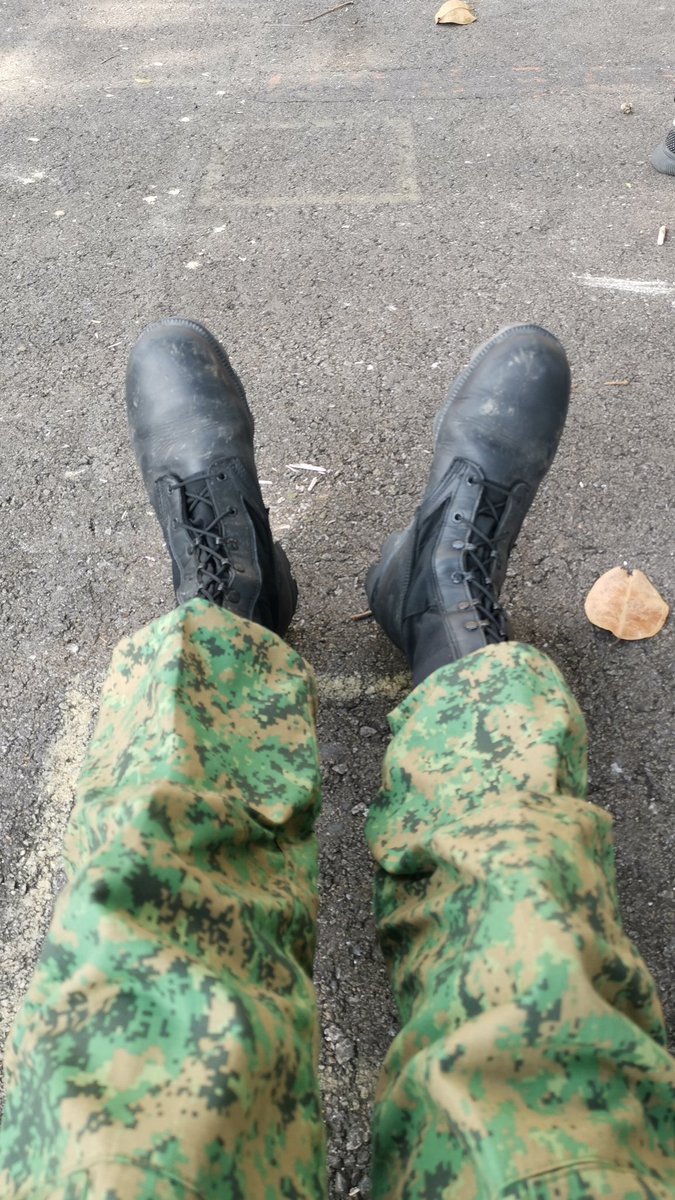 2 weeks away and i feel like i missed 2 years of web3 content

Btw i was away for reservist, so i was out in the jungle doing military stuff. And yes its mandatory in singapore.

Will be back full force in the space on Monday