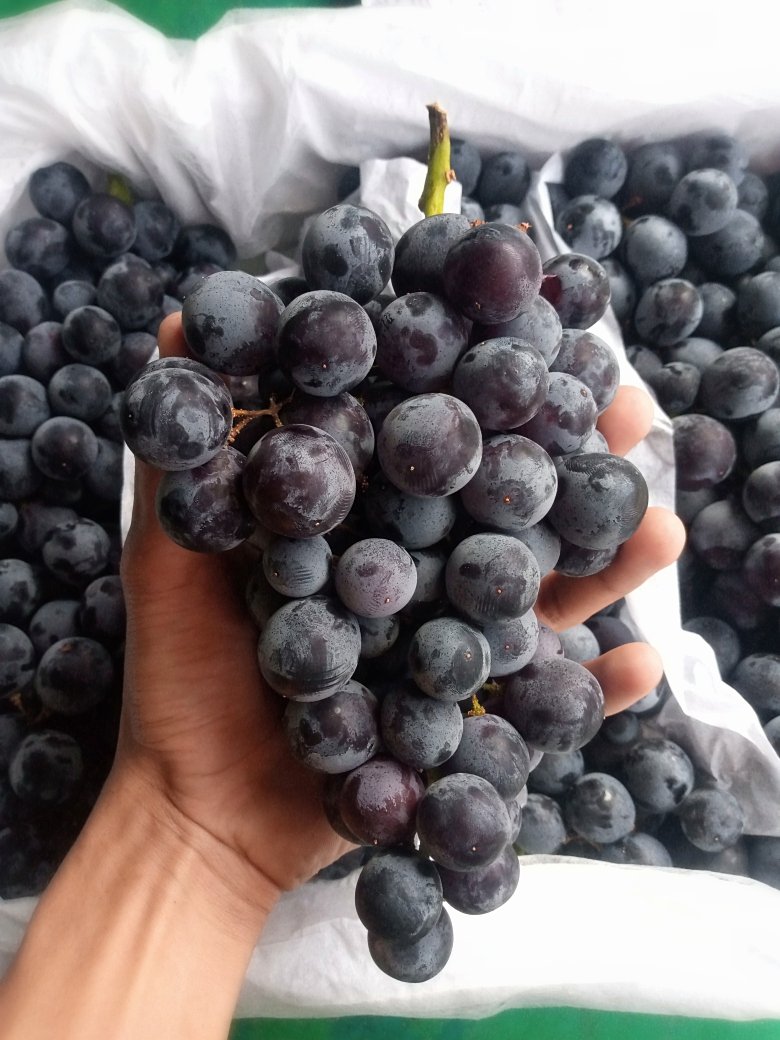 FruitDay tweet media
