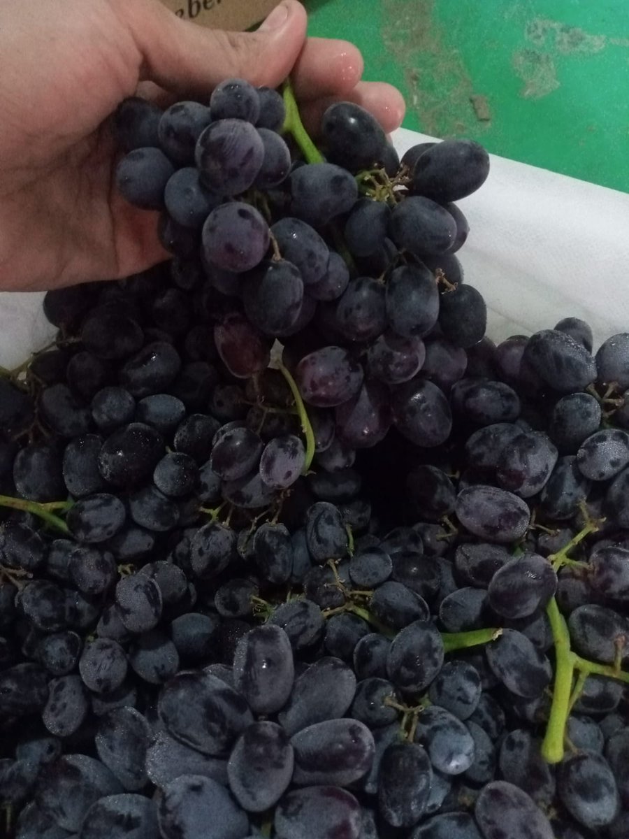 FruitDay tweet media