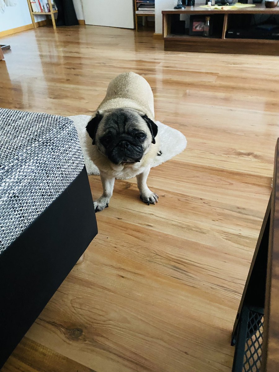 Moin 😏 
Alles 2 Stunden tropfen und ich hab schon 2x weg für heute 😩