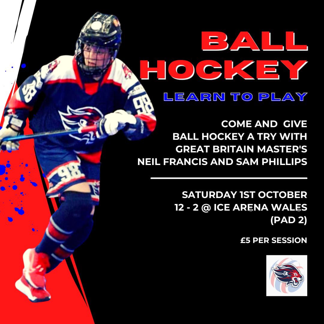 Anyone in cardiff today fancy trying ball hockey? Pop down to ice arena wales!