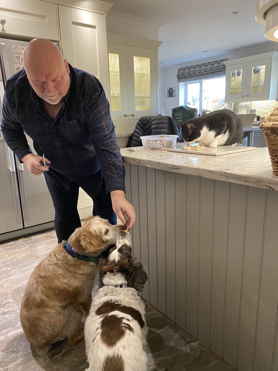 SpanielsSuper's tweet photo. Ronnieโs sense of smell always guides him to the front of any food queue
Today dad is doing the breakfast treat, Mo, Ronnie & PussPuss are all queued up while laid back Snoopy is in his bed, confident his share will be brought to him ๐ #ChickenTreat #FirstInQueue #AdoptDontShop https://t.co/N5bavAwF3h