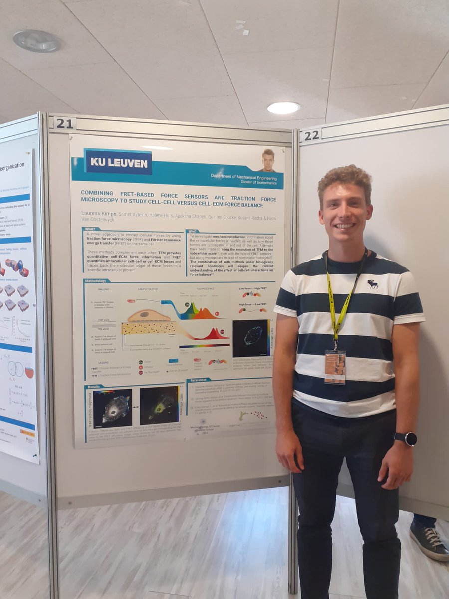 MAtrix_KULeuven's tweet photo. ๐End of this awesome #MCsummerschool22 where we've presented our work on FRET and TFM to investigate endothelial cell invasion and force generation! https://t.co/LE05FwAM9J
