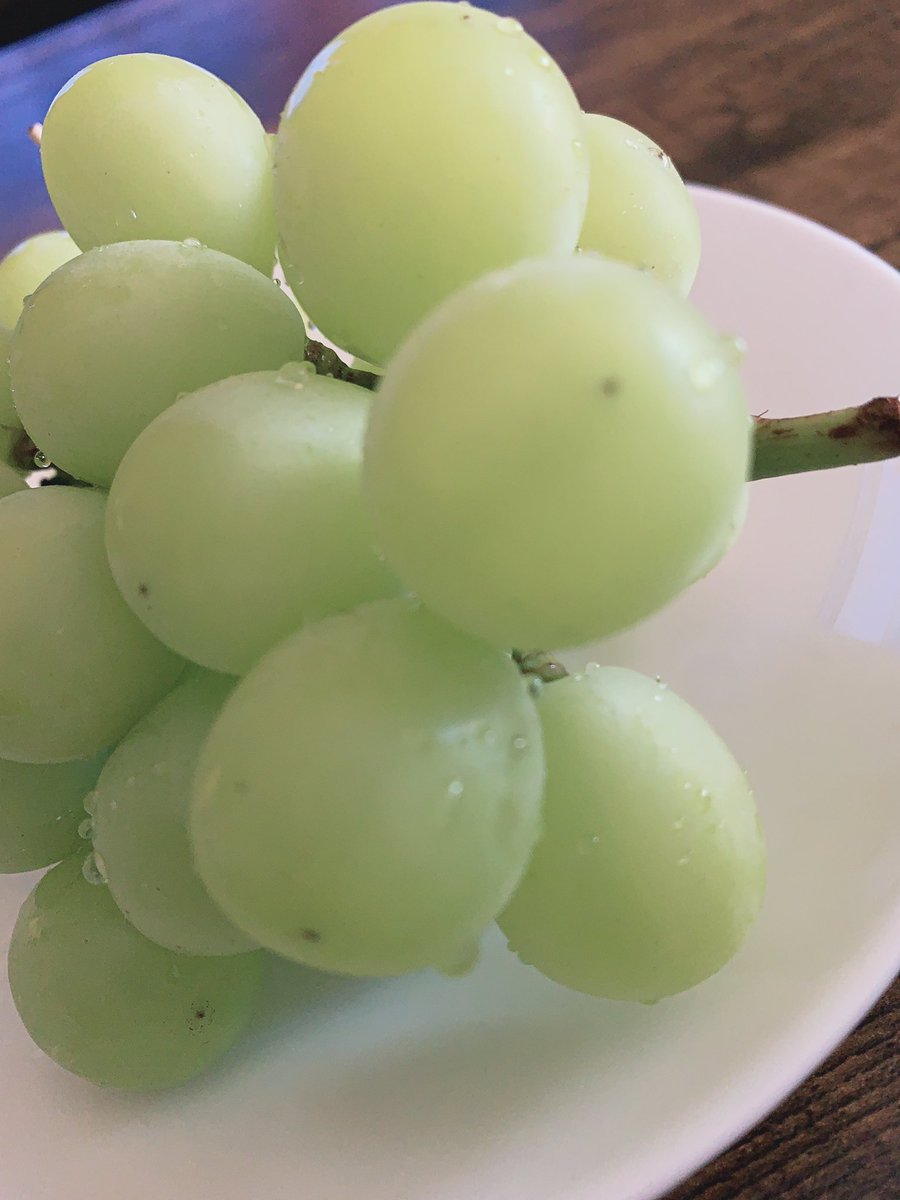 aamm0824's tweet photo. 秋の果物、さいこう〜！！！ https://t.co/4WmqSmcc34
