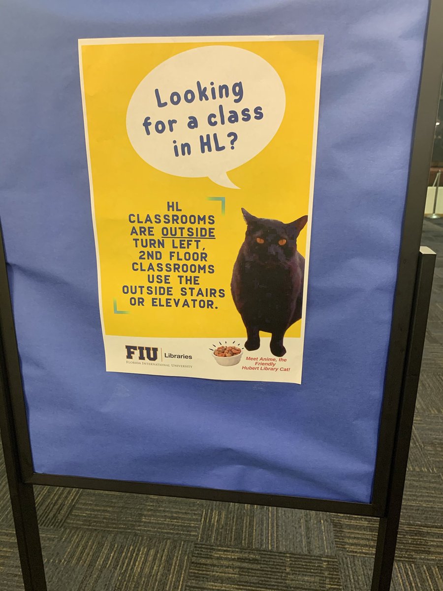 Jakesfiu's tweet photo. The lounging library cats #WeAreFIU https://t.co/6Nz3eMY7vx