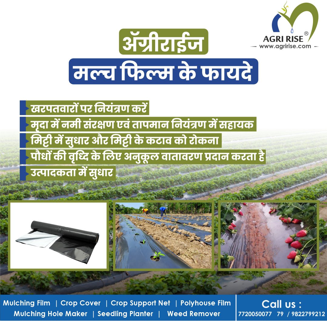 #ॲग्रीराईज #मल्च #फिल्म के फायदे

#agriculture #farmers #farming #market #products #protectivefarming #cropprotection #mulchingfilm #mulchfilm #agriculturalfilms #plasticulture #plantgrowth #weedcontrol #MulchingSheet #SustainableAgriculture #GrassCutter
