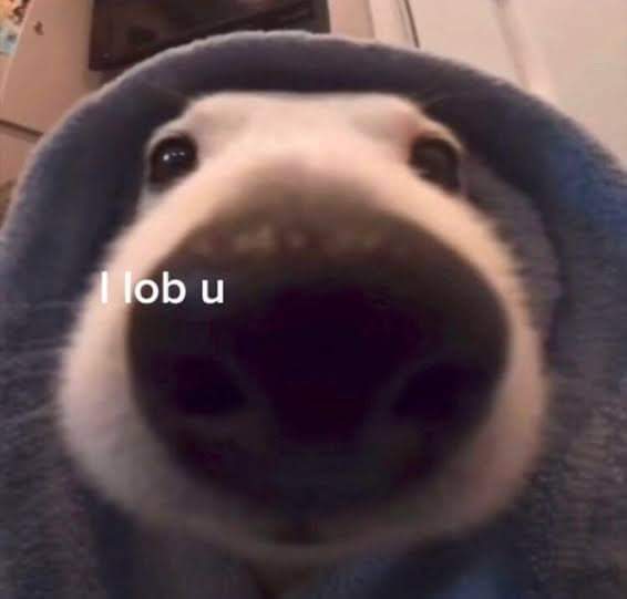 que bonito es el amor