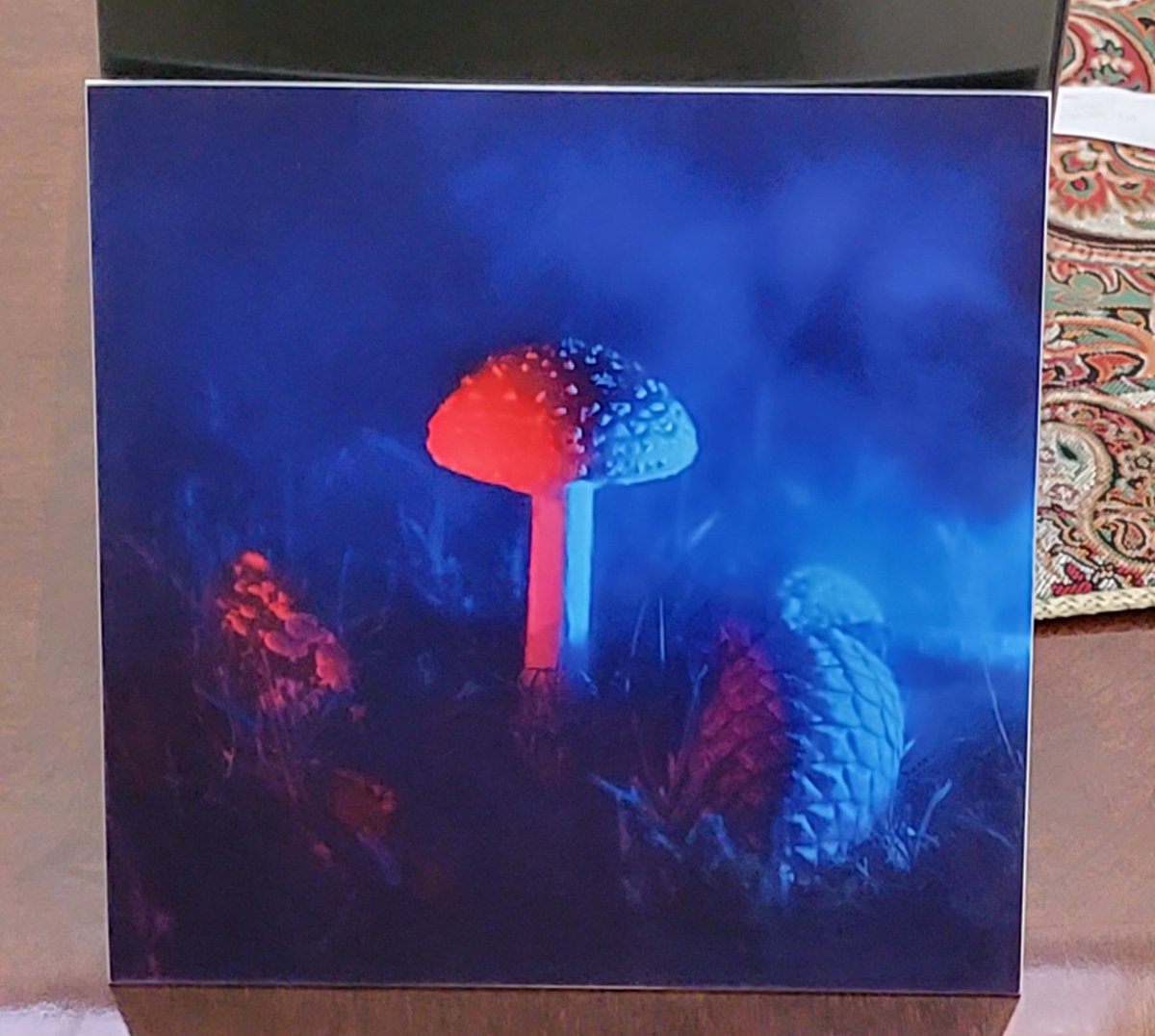 Fun way to start the weekend - thanks <a href="/gabriellamort/">ella</a> - been itching to get this!