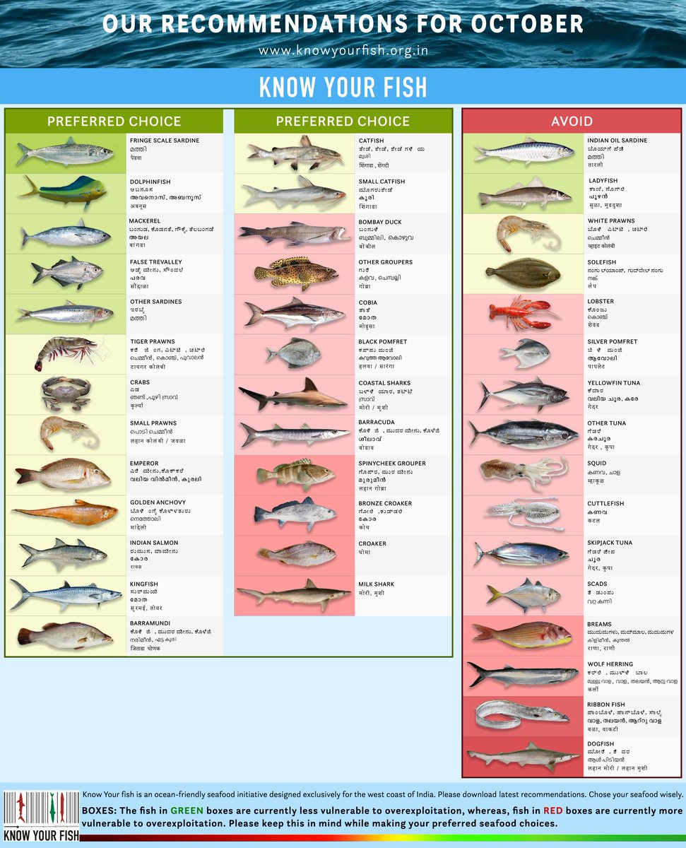 Know Your Fish tweet media
