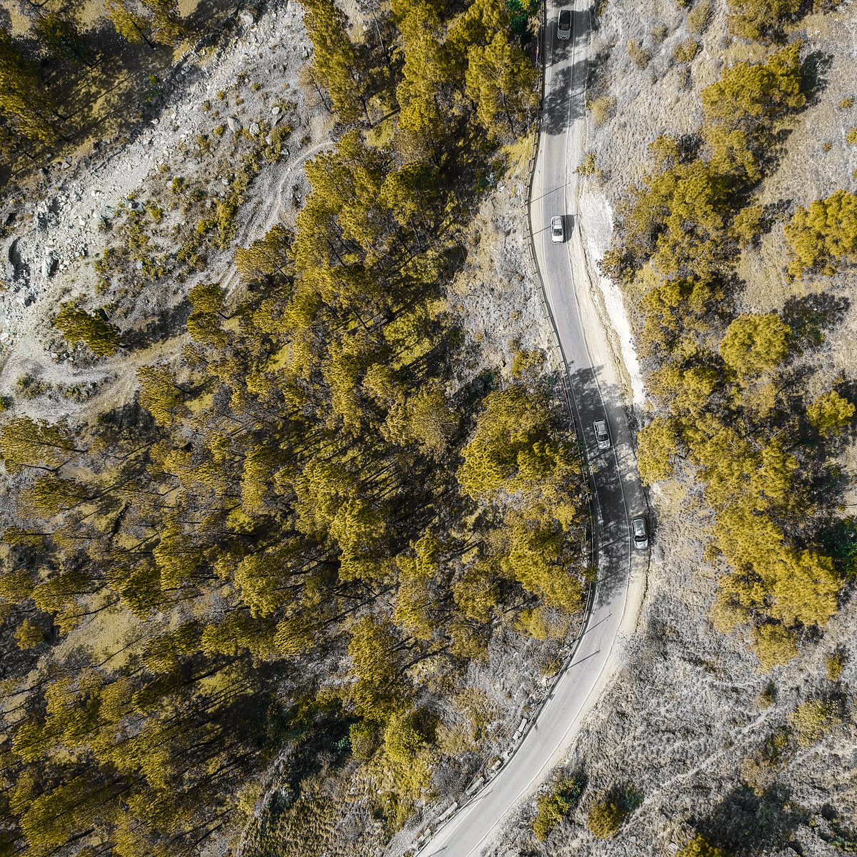 escapeteddy's tweet photo. Such drone shots only remind me of ROADTRIPS 😍 

#ROADTRIP #dronephotography #POTD #travel #photography #shorts #beautiful https://t.co/ViaB5yxNsi
