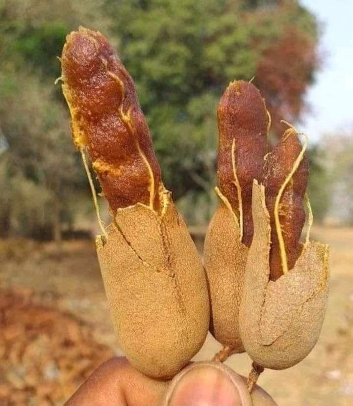Rocking_Nainaa's tweet photo. बताओ यह क्या है..? 🤔 https://t.co/x5ODzcfumf