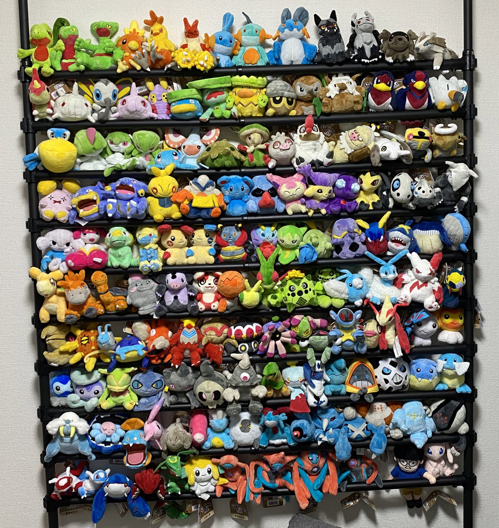 ポケモン - ポケモン　ポケモンセンター　ポケモンfit　ホウエン地方　まとめ売り ポケモン - ポケモン ポケモンセンター ポケモンfit ホウエン