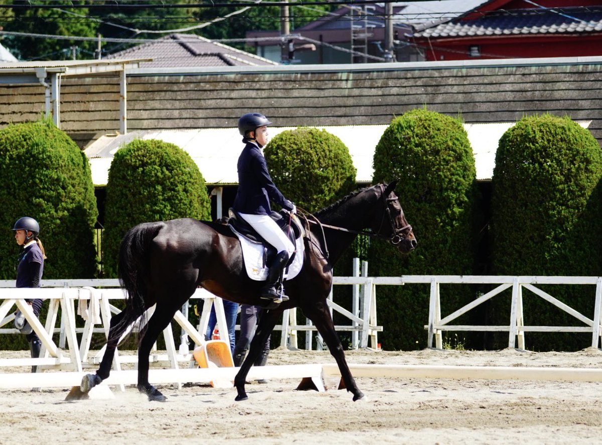 hachiojirc_twi's tweet photo. #第99回八王子市乗馬大会
ただいま第3競技A2課目の休憩中です。
まもなく13番の選手の演技が始まります。
みなさん楽しそうに演技をしていて、見ているこちらも楽しくなります❣️ https://t.co/wqKyKwU7cI