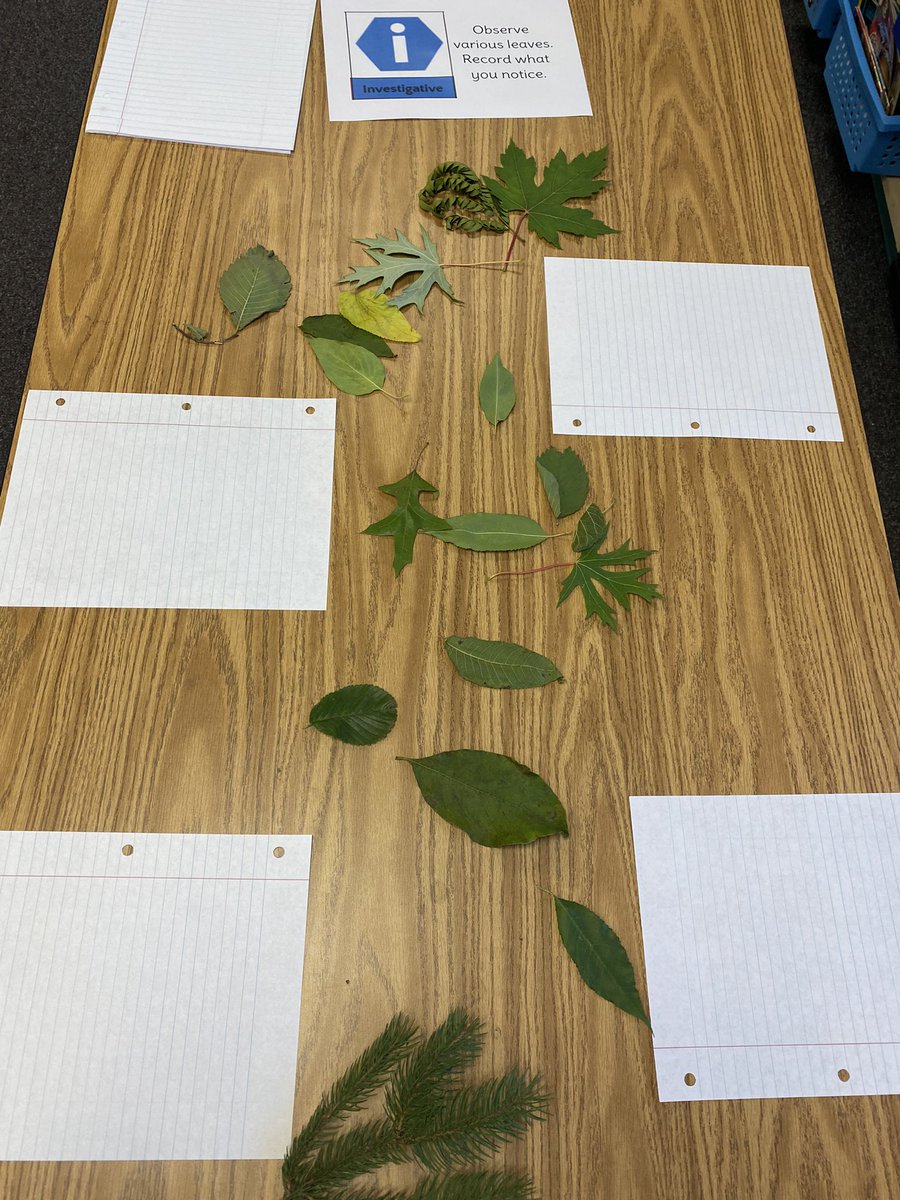 Tera McCloud tweet media