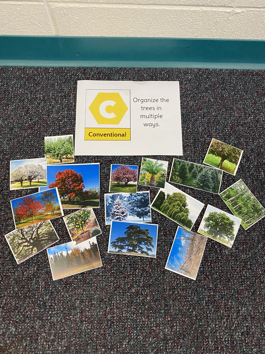 Tera McCloud tweet media