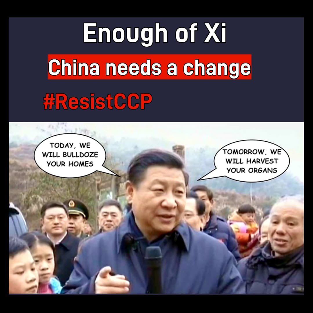 Namrab74's tweet photo. #ResistChina
#Freetibet
#UNHHRC
#UNO
#UNICEF
#UNDF https://t.co/AN0VezaP1N