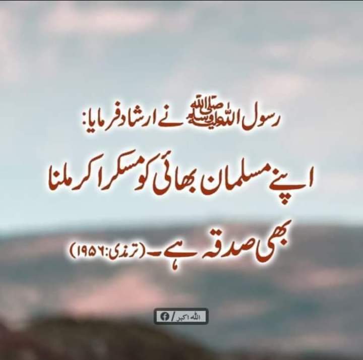 ZeroPressure_'s tweet photo. Teachers demand Regularization on TEACHERS DAY

#5OctTeachersDay
#RegulariseSSEsAEOs

@ChParvezElahi @RajaBasharatLAW @DrMuradPTI @WasiqQAbbasi @seemabiatahir https://t.co/BjmW8aqsRn