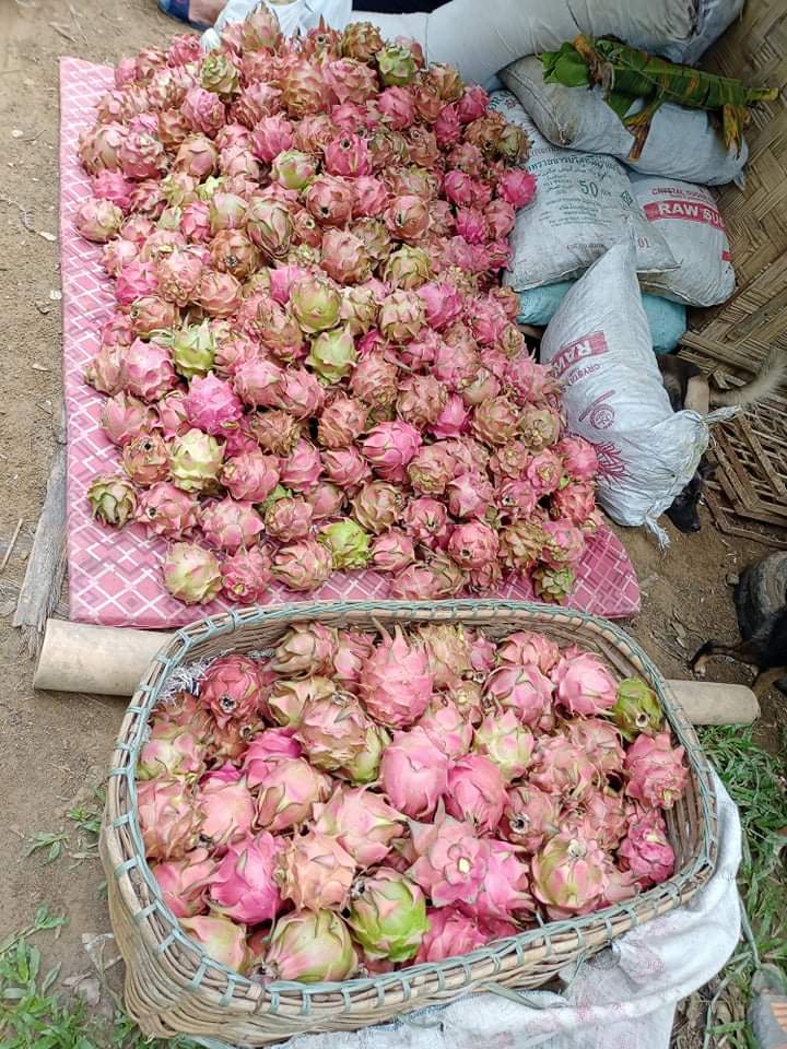 Bunga ng pinagpawisan ng magsasakang purdoy.......🤣🤣🤣🤣🤣🤣