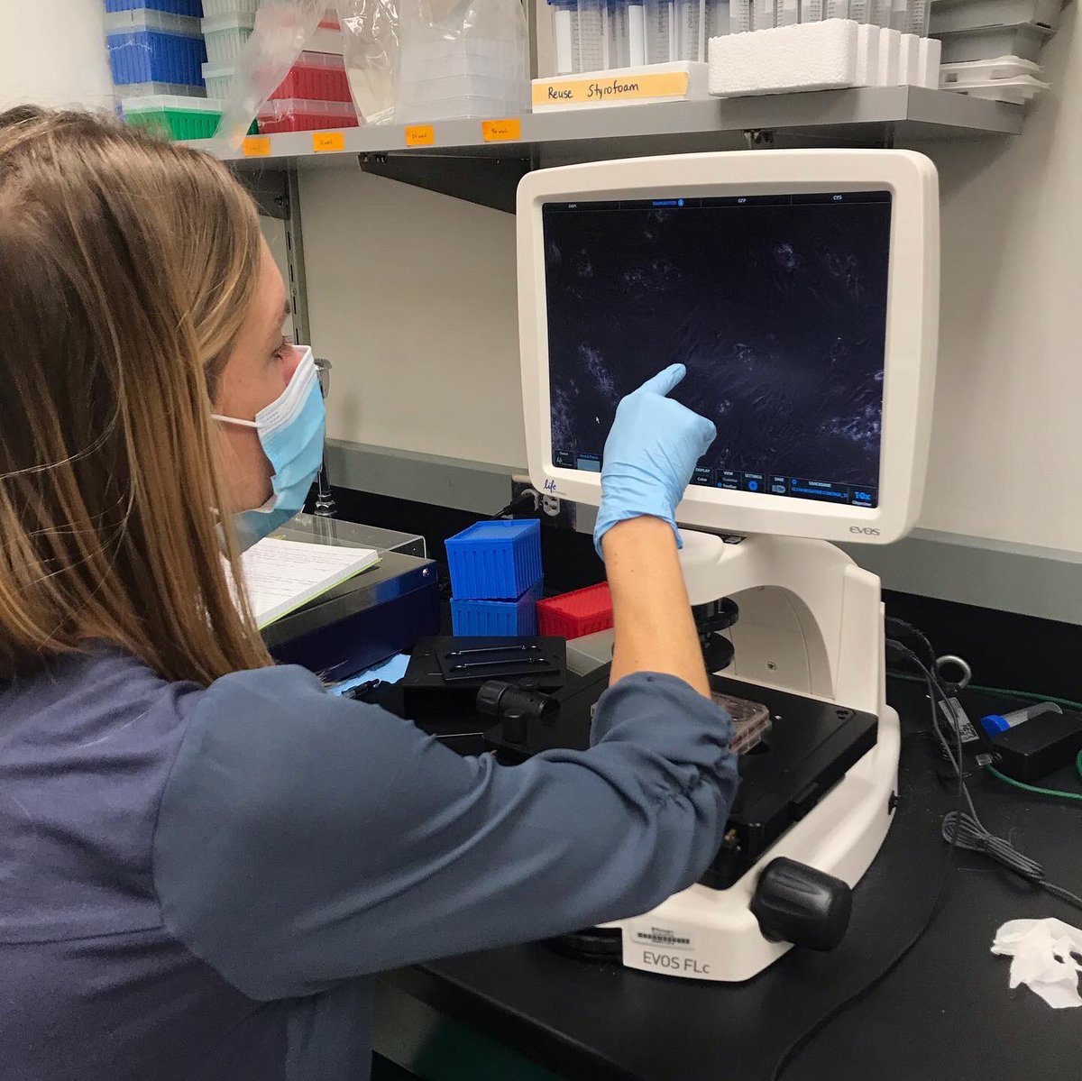 Maiko Morotani tweet media