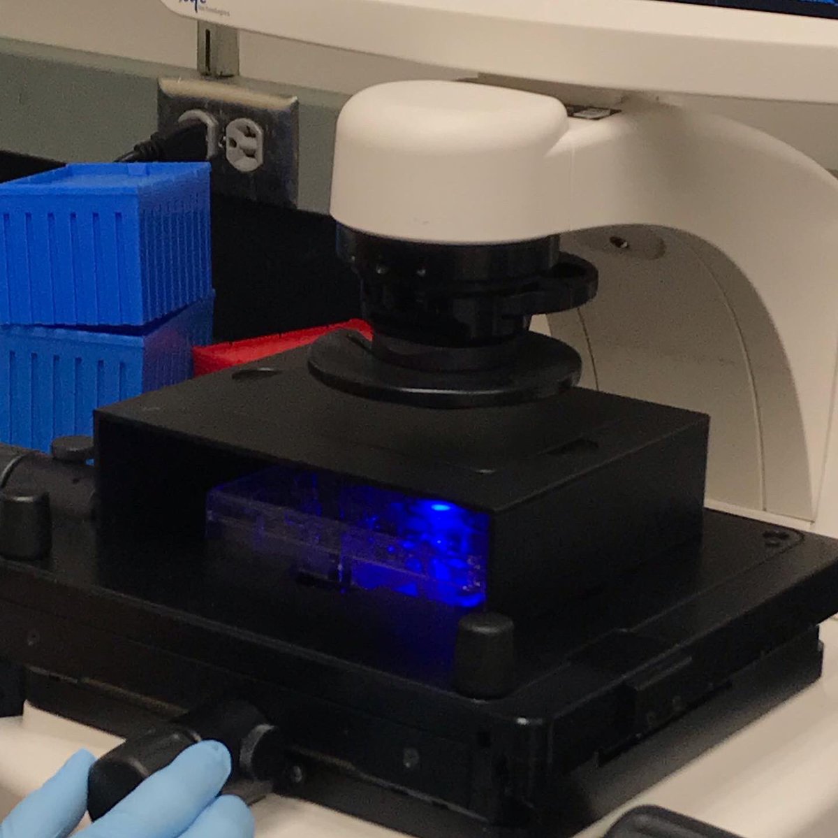 Maiko Morotani tweet media