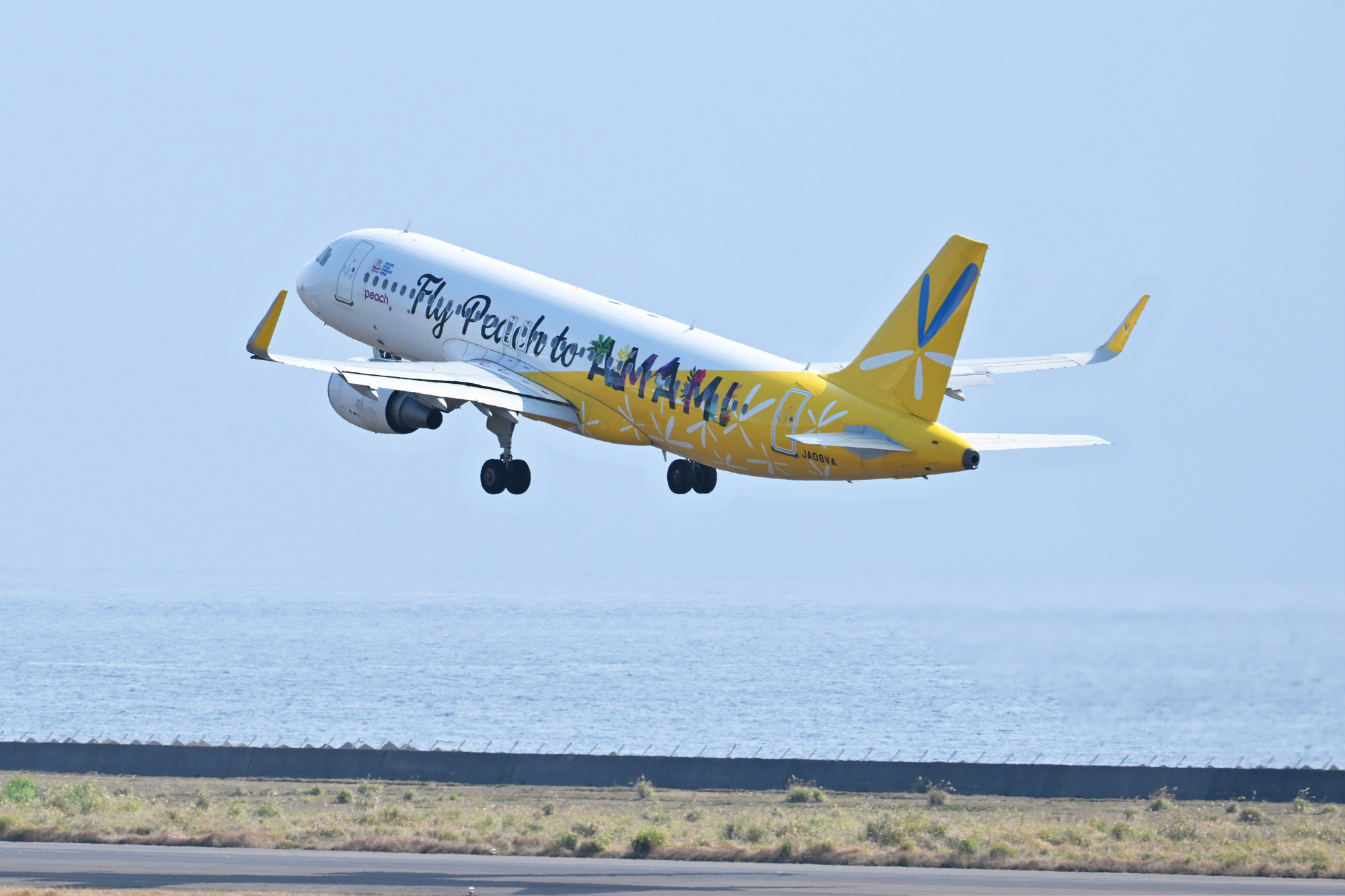 【再出品】Phoenix peach Airbus A320 バニラ塗装 再出品】Phoenix peach Airbus A320 バニラ塗装 再出品】Phoenix