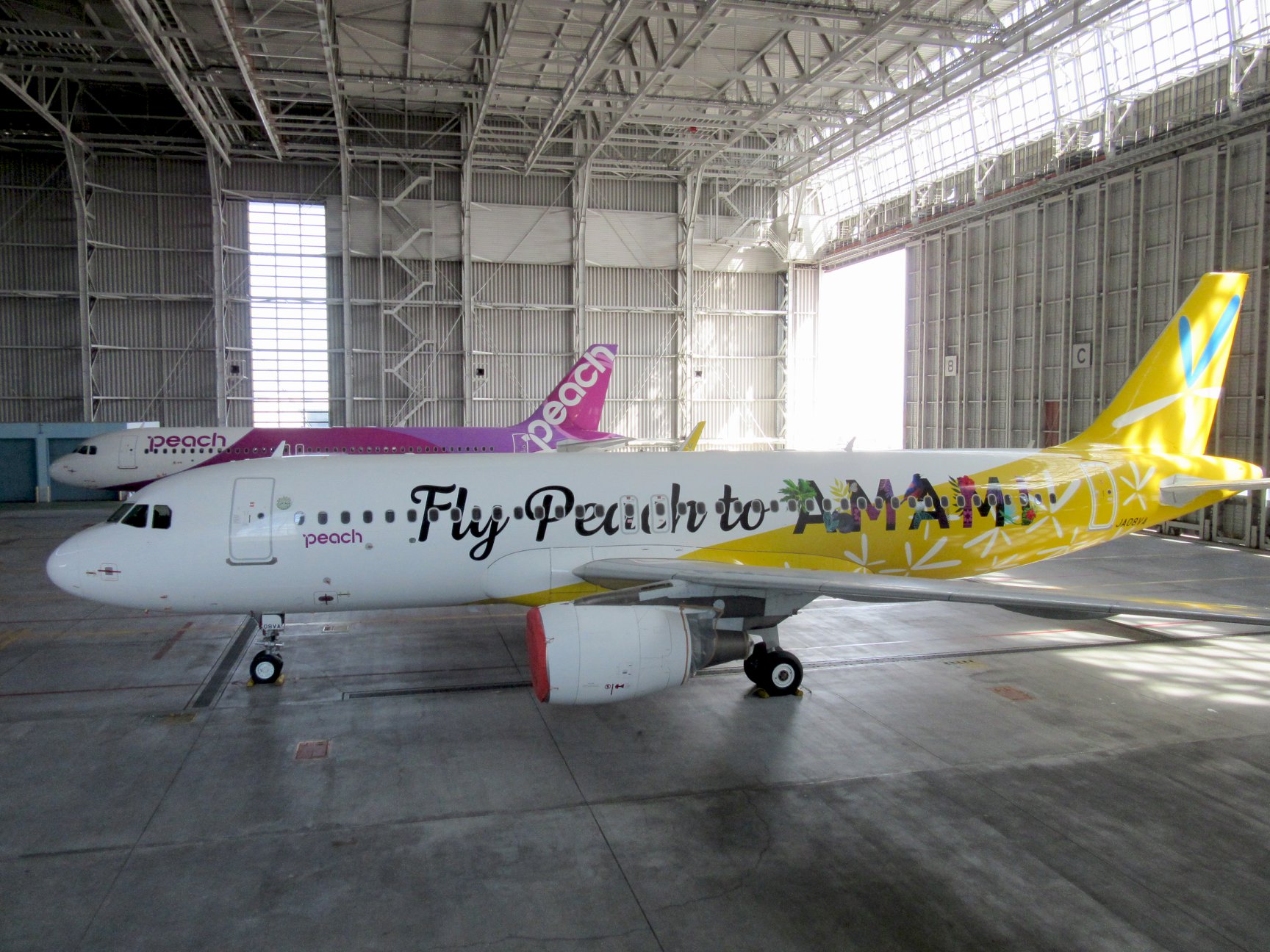 新品】1:200 元バニラエア塗装 Peach A320 JA08VA 最新作の www