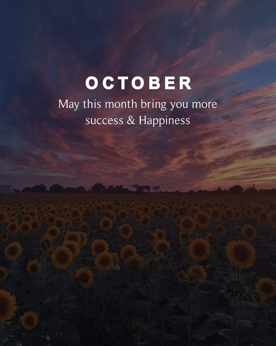 GamingWithMS7's tweet image. - AMEEN 🤲❤️‍🩹

$SYS $ANC