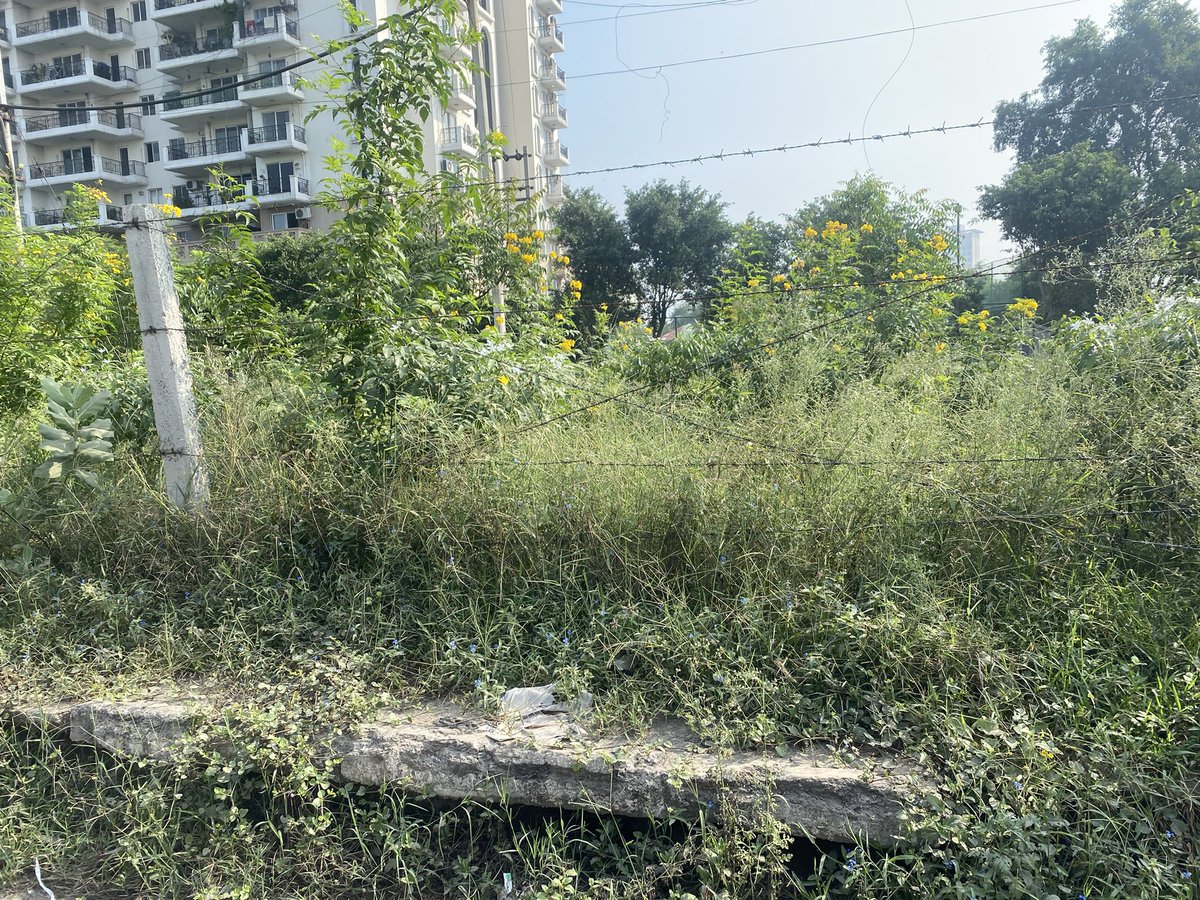 vik2279's tweet photo. @MCManesar you have more than 1000 tax payers in this NTH 90 complex and the basic cleaning and road maintenance is not done by municipal. Please wake up 🙏🏻 https://t.co/nPYWbAOt4Q